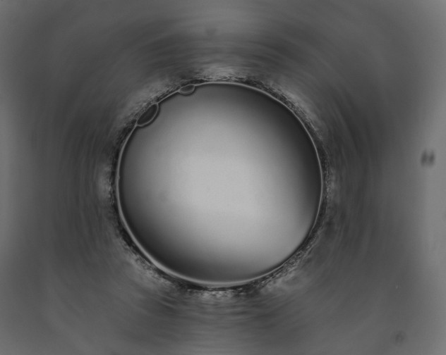 X0000091560353200708241820