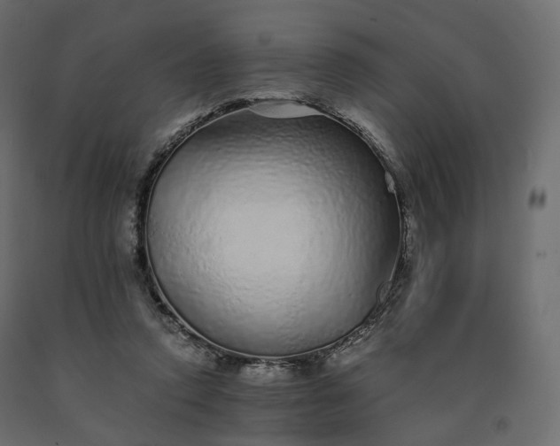 X0000091560354200708241820