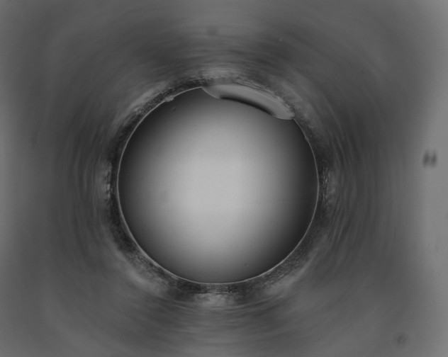 X0000091560356200708241820