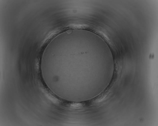 X0000091560357200708241821