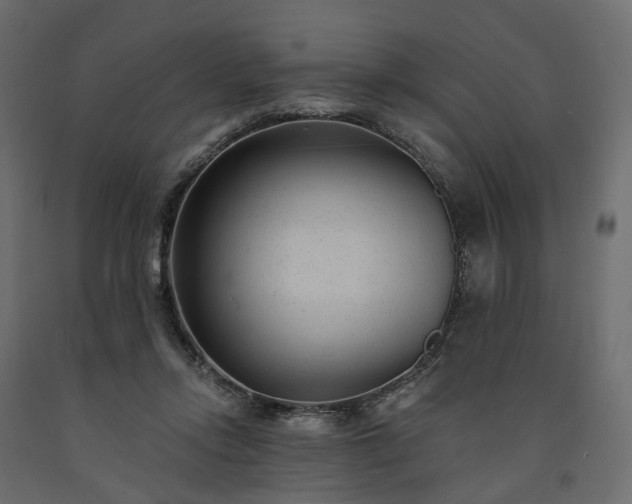 X0000091560358200708241821