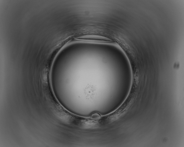 X0000091560359200708241821