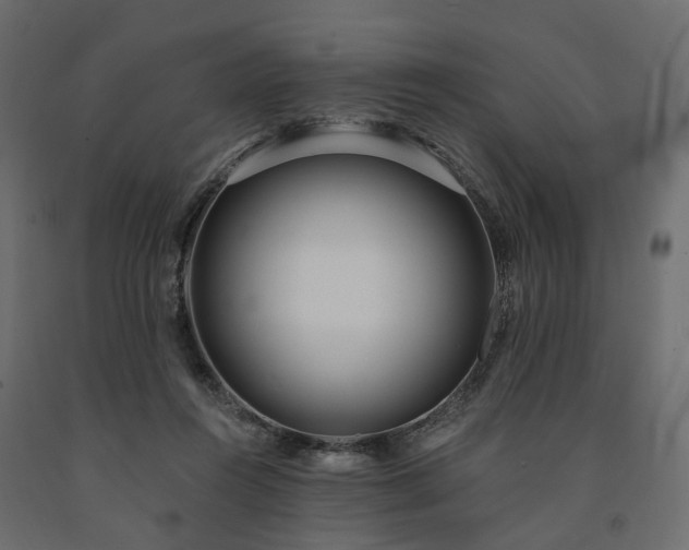 X0000091560360200708241821