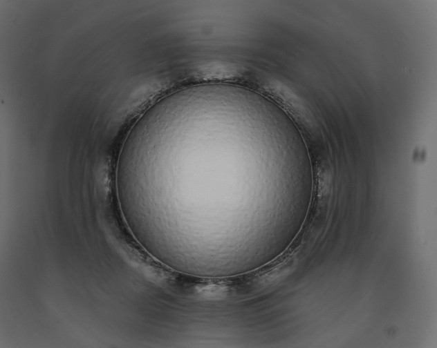 X0000091560362200708241821