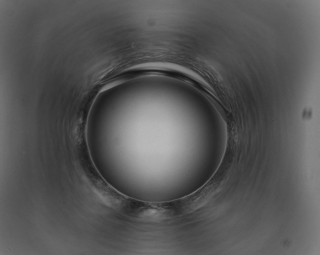 X0000091560364200708241821