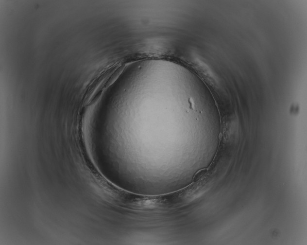 X0000091560365200708241821