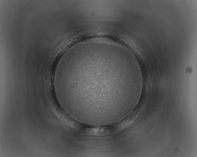 X0000091560366200708241821