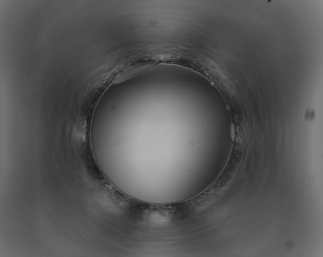 X0000091560368200708241821