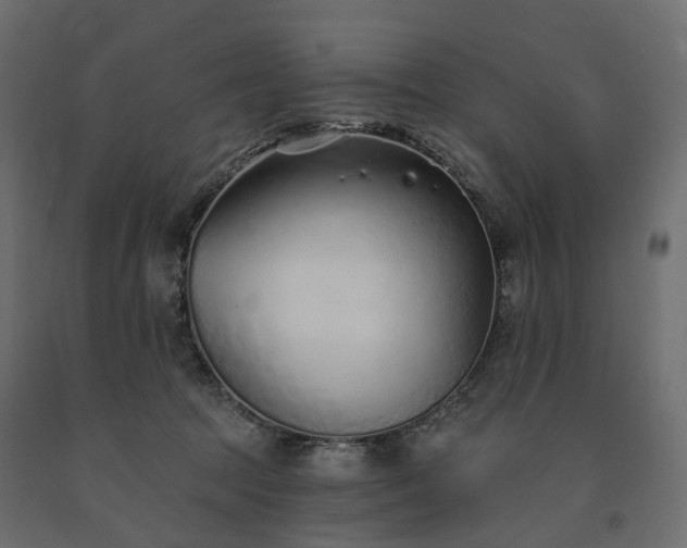 X0000091560369200708241821