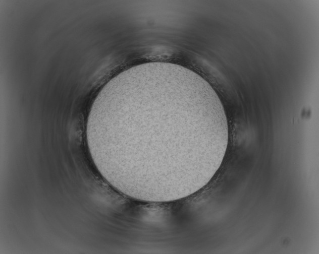 X0000091560370200708241821