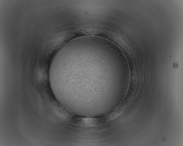 X0000091560371200708241821