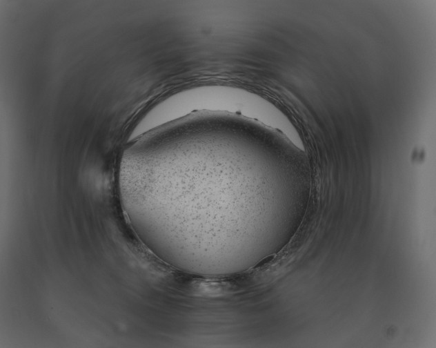 X0000091560372200708241821