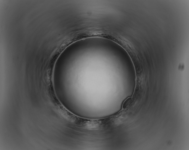 X0000091560373200708241821