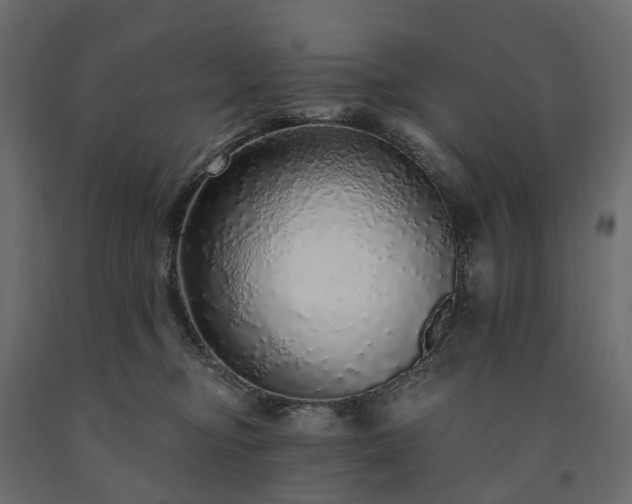 X0000091560374200708241821