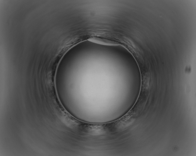 X0000091560377200708241821