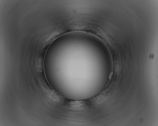 X0000091560378200708241821