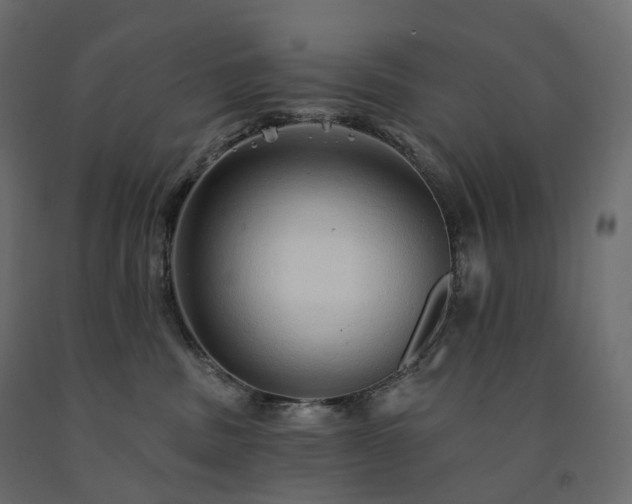 X0000091560379200708241821