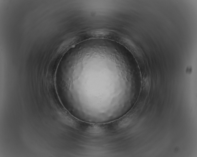 X0000091560381200708241821