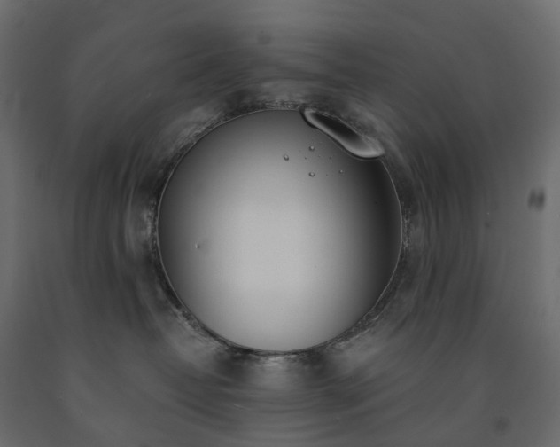 X0000091560382200708241821