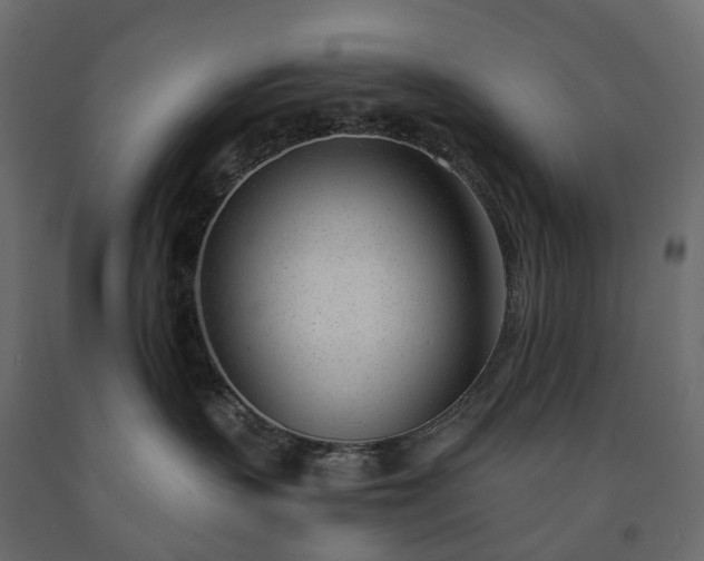 X0000091560383200708241821