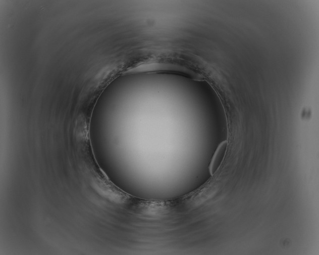 X0000091560384200708241821