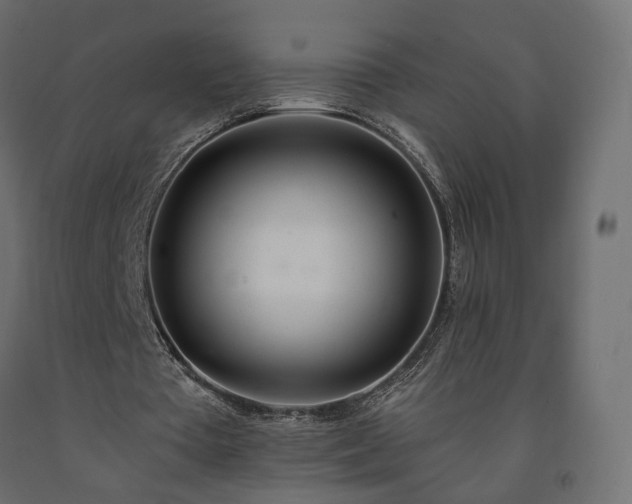 X0000091560385200708241820