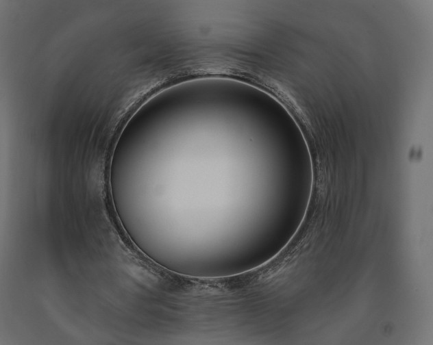 X0000091560386200708241820