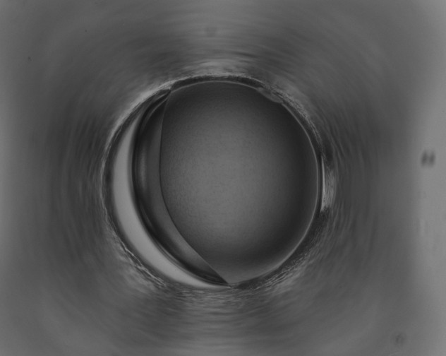 X0000091560387200708241820