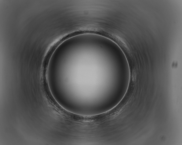 X0000091560388200708241820