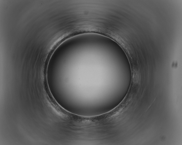 X0000091560390200708241820