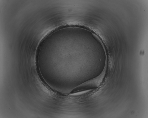 X0000091560391200708241820