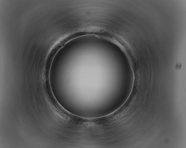 X0000091560392200708241820