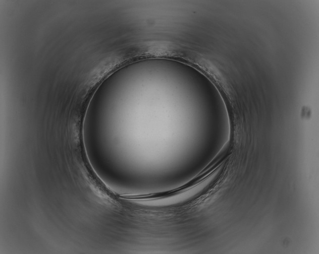 X0000091560393200708241820