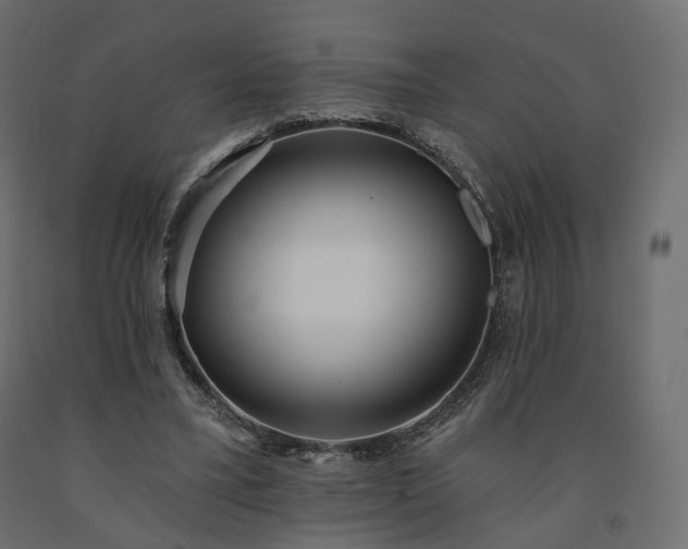 X0000091560395200708241820