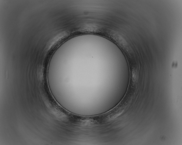 X0000091560396200708241820