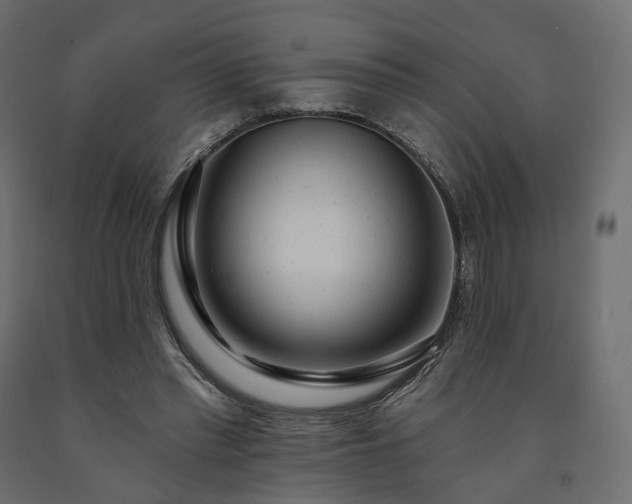 X0000091560397200708241820