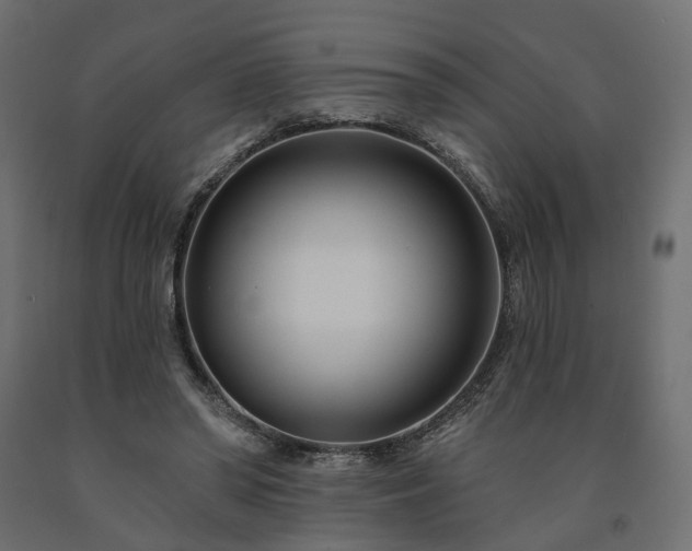 X0000091560398200708241820