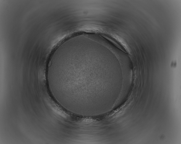 X0000091560399200708241820