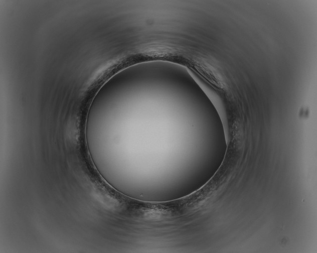 X0000091560400200708241820