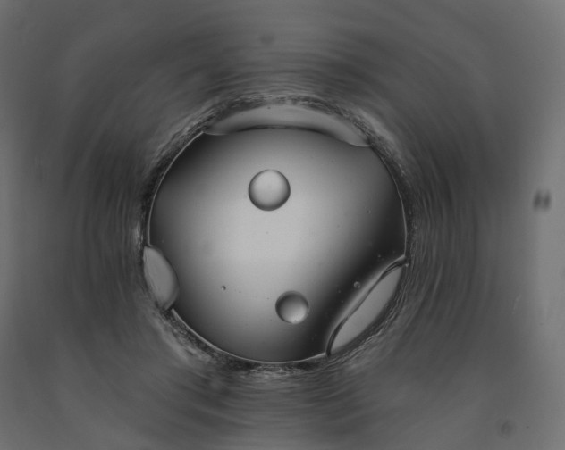 X0000091560405200708241820