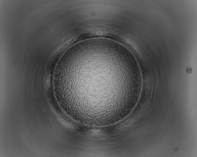 X0000091560406200708241820