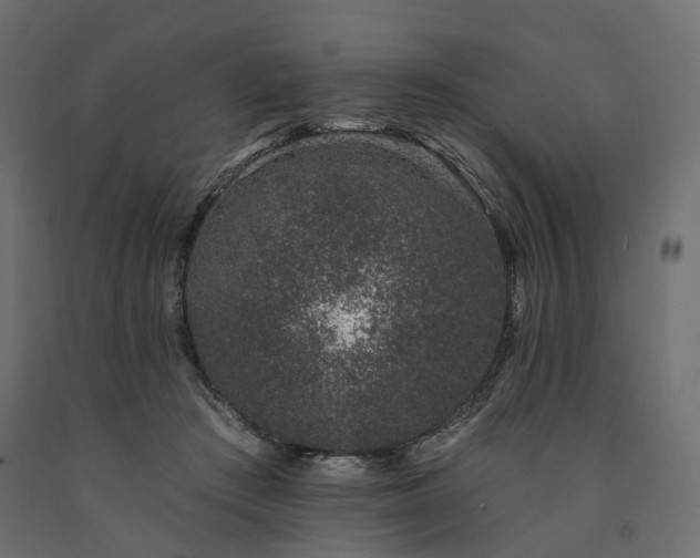 X0000091560409200708241820