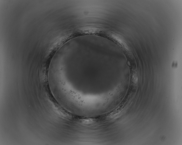 X0000091560411200708241820