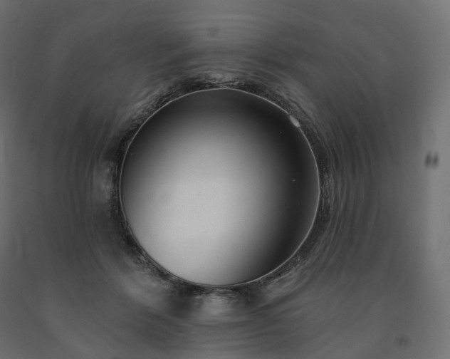 X0000091560412200708241820