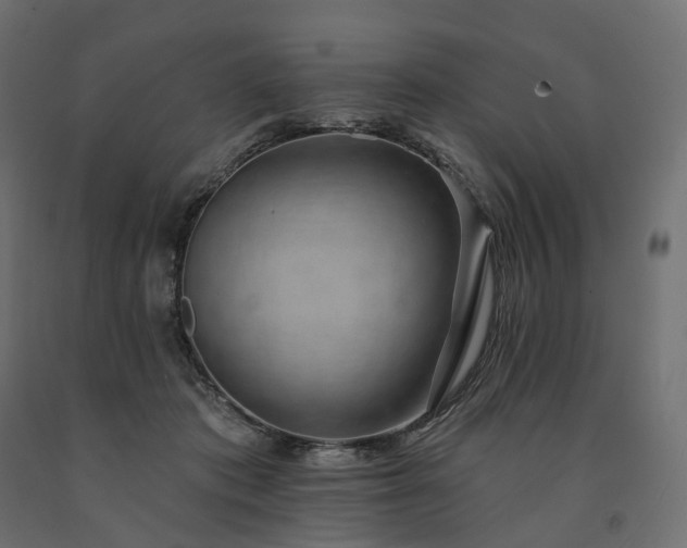 X0000091560413200708241820