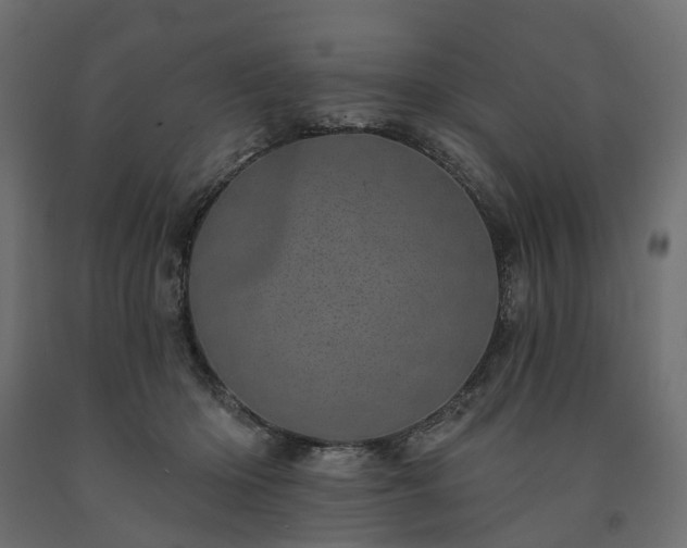 X0000091560414200708241820