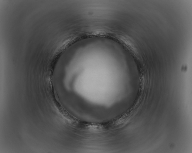 X0000091560415200708241820