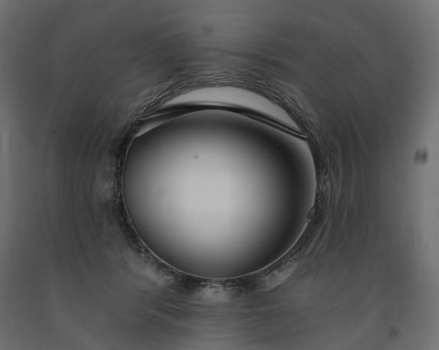 X0000091560416200708241820