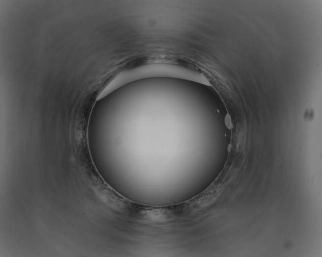 X0000091560417200708241820