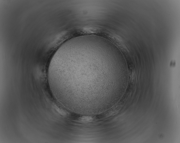 X0000091560418200708241820